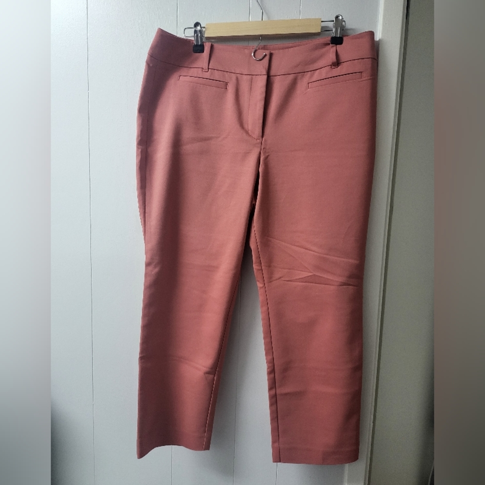 Ann Taylor pants